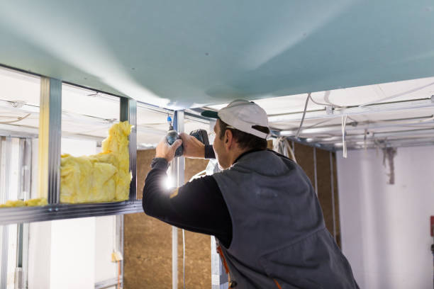 Types of Insulation We Offer in Bard College, NY