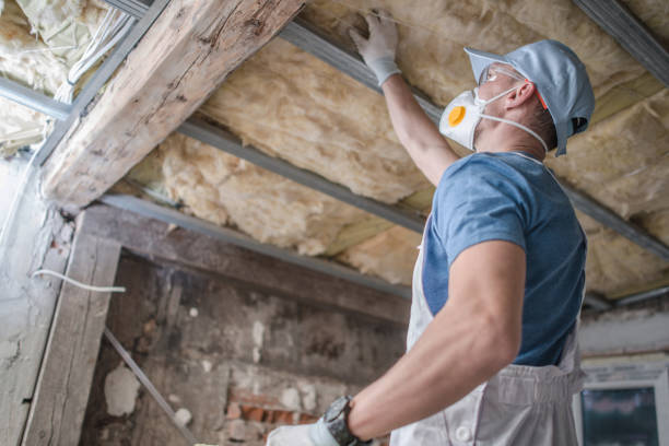 Best Eco-Friendly Insulation in Bard College, NY